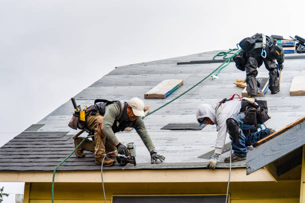 Professional Roofing technician working in Dana, IN